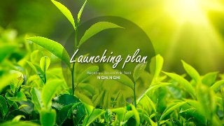 Ready – to – drink tea
NGHI NGHI
Launching plan
 