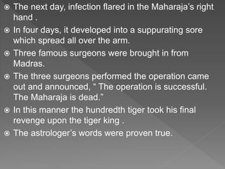  The next day, infection flared in the Maharaja’s right
hand .
 In four days, it developed into a suppurating sore
which spread all over the arm.
 Three famous surgeons were brought in from
Madras.
 The three surgeons performed the operation came
out and announced, “ The operation is successful.
The Maharaja is dead.”
 In this manner the hundredth tiger took his final
revenge upon the tiger king .
 The astrologer’s words were proven true.
 