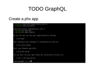 TODO GraphQL
Create a phx app
 