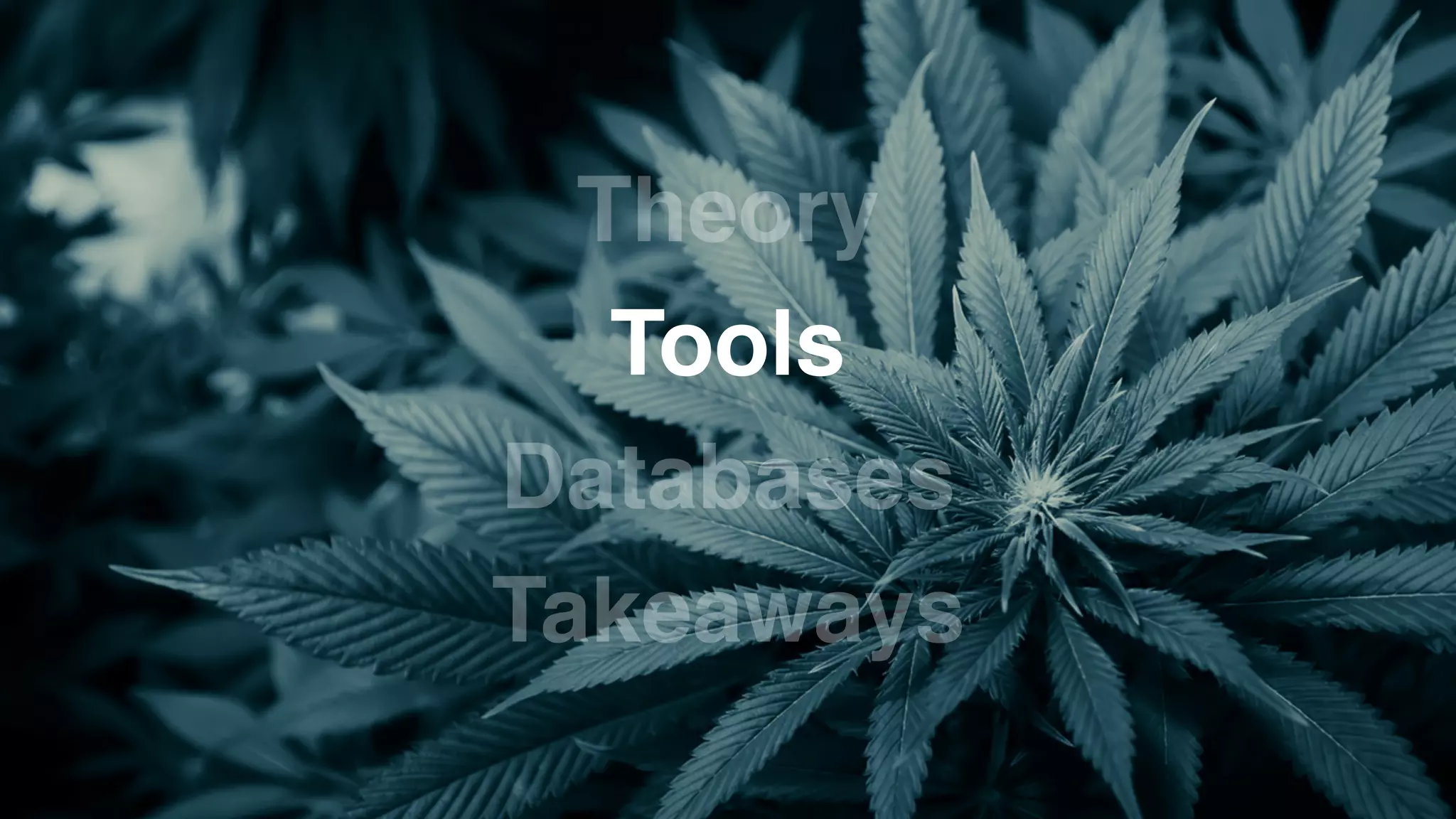 Databases
Tools
Theory
Takeaways
 