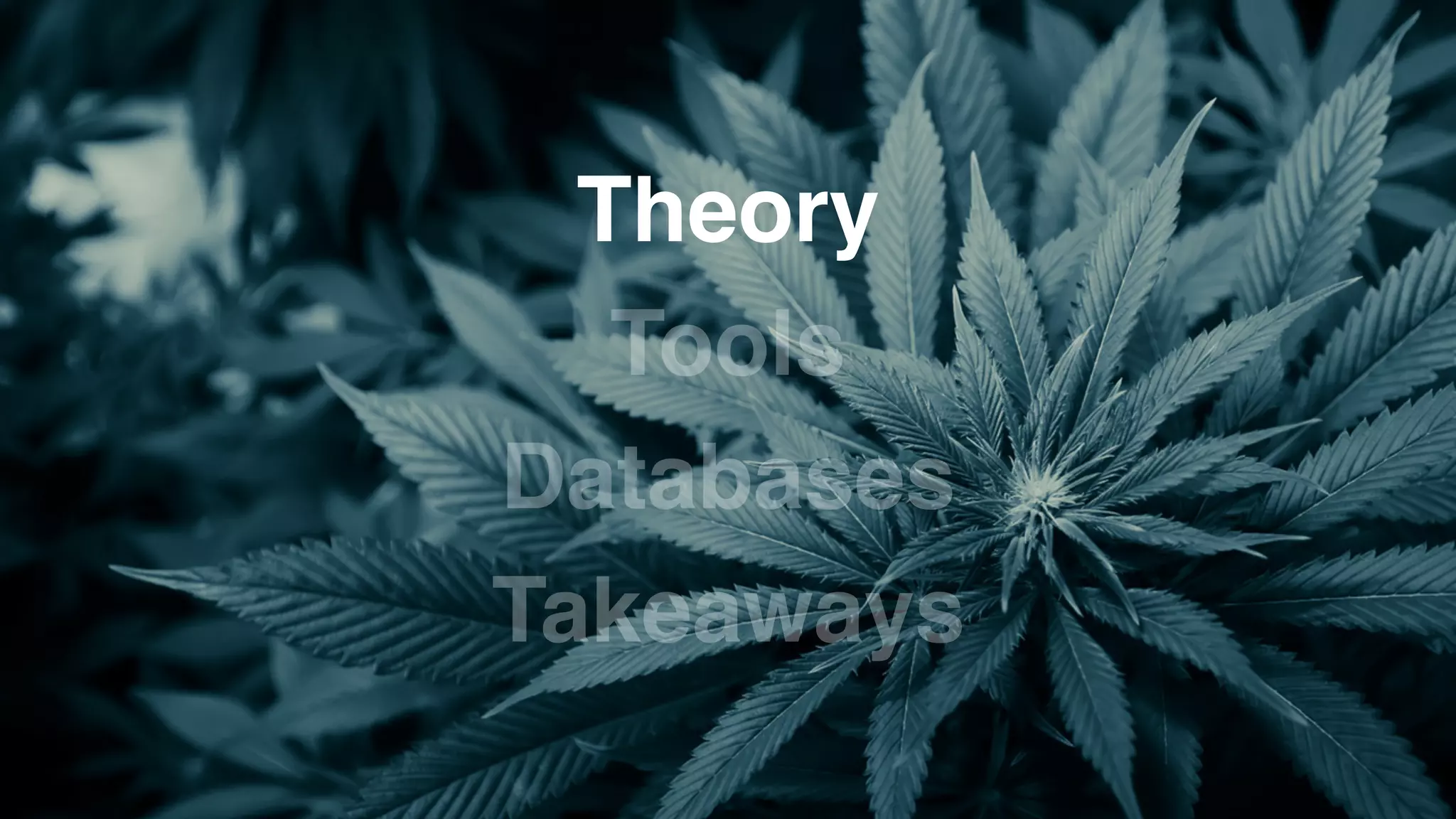 Databases
Tools
Theory
Takeaways
 