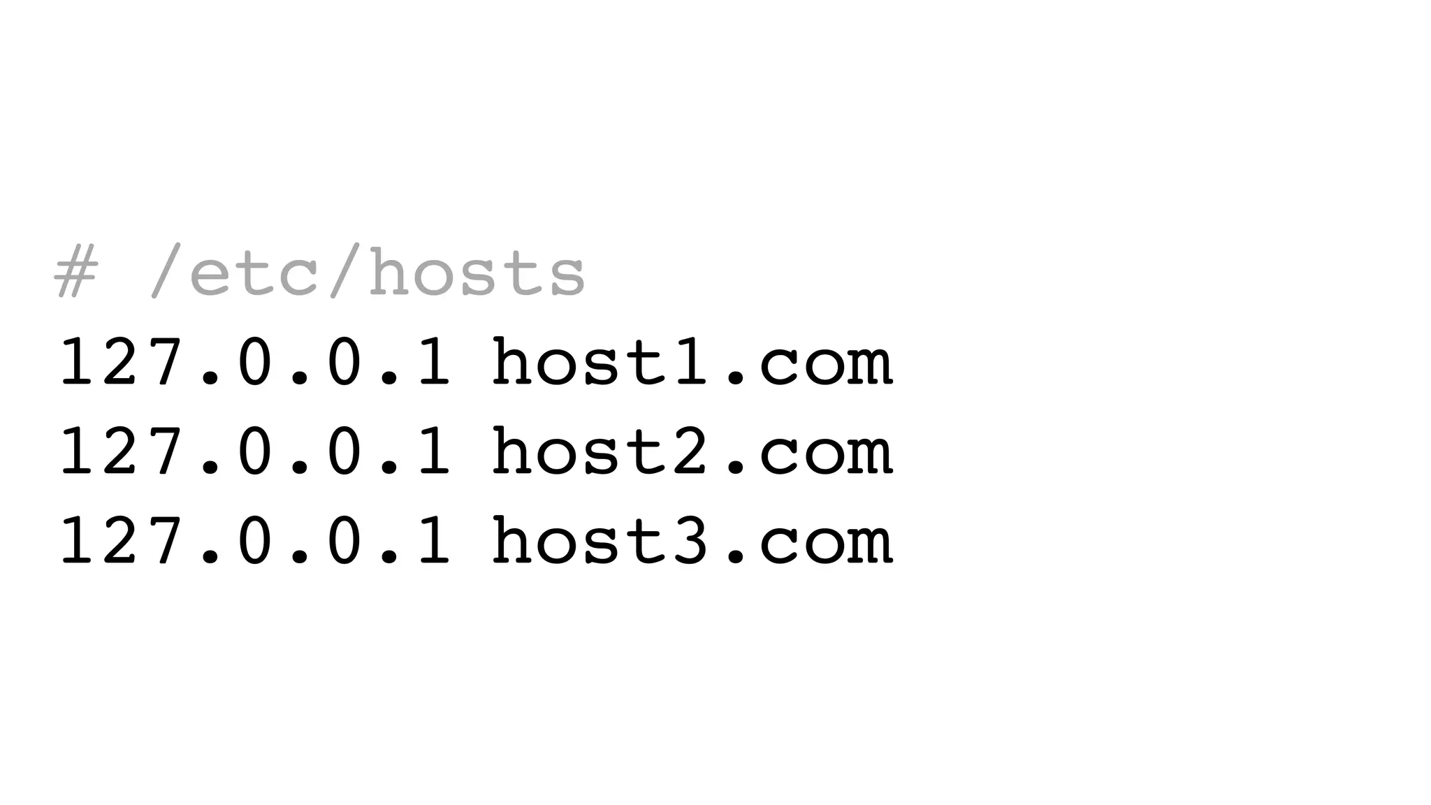 # /etc/hosts
127.0.0.1 host1.com
127.0.0.1 host2.com
127.0.0.1 host3.com
 