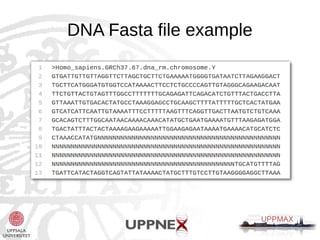 DNA Fasta file example 
 