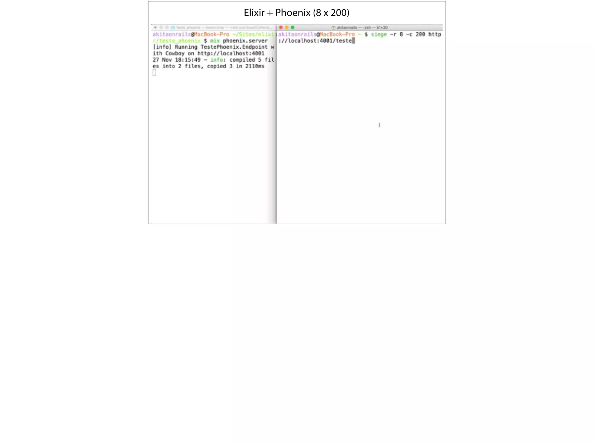Elixir + Phoenix (8 x 200)
 