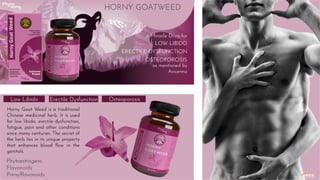 Elixr Horny Goatweed 60 capsules by Phyto Atomy.pdf