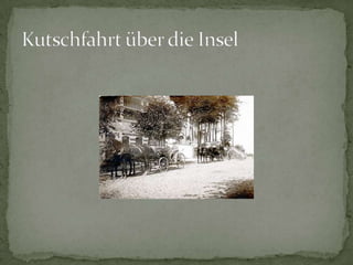 Kutschfahrt über die Insel