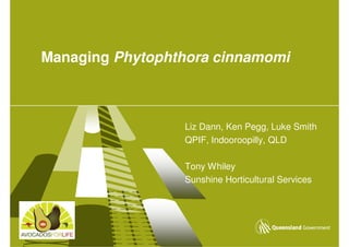 Managing Phytophthora cinnamomi



                 Liz Dann, Ken Pegg, Luke Smith
                 QPIF, Indooroopilly, QLD

                 Tony Whiley
                 Sunshine Horticultural Services
 