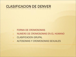 1. FORMA DE CROMOSOMAS
2. NUMERO DE CROMOSOMAS EN EL HUMANO
3. CLASIFICACION GRUPAL
4. AUTOSOMAS Y CROMOSOMAS SEXUALES
 