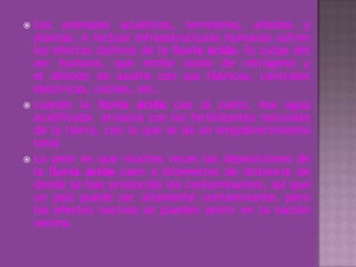 Los animales acuáticos, terrestres, arboles y plantas, e incluso infraestructuras humanas sufren los efectos dañinos de la lluvia acida. Es culpa del ser humano, que emite oxido de nitrógeno y el dióxido de azufre con sus fábricas, centrales eléctricas, coches, etc.cuando la lluvia ácida cae al suelo, esa agua acidificada  arrastra con los fertilizantes naturales de la tierra, con lo que se da un empobrecimiento totalLo peor es que muchas veces las deposiciones de la lluvia ácida caen a kilómetros de distancia de donde se han producido los contaminantes, así que un país puede ser altamente contaminante, pero los efectos nocivos se pueden sentir en la nación vecina.