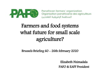 Farmers and food systems
what future for small scale
agriculture?
Brussels Briefing 60 - 26th february 2020
Elizabeth Nsimadala
PAFO & EAFF President
 