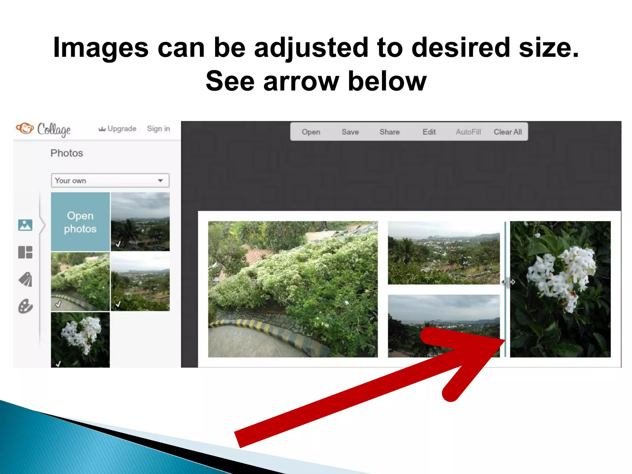 Images can be adjusted to desired size.
See arrow below
 
