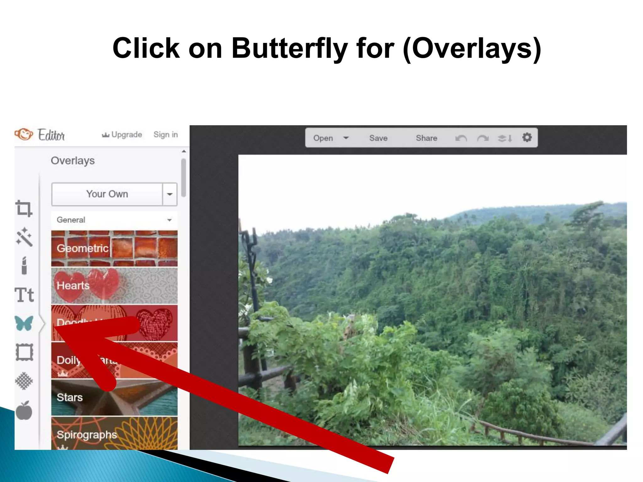 Click on Butterfly for (Overlays)
 