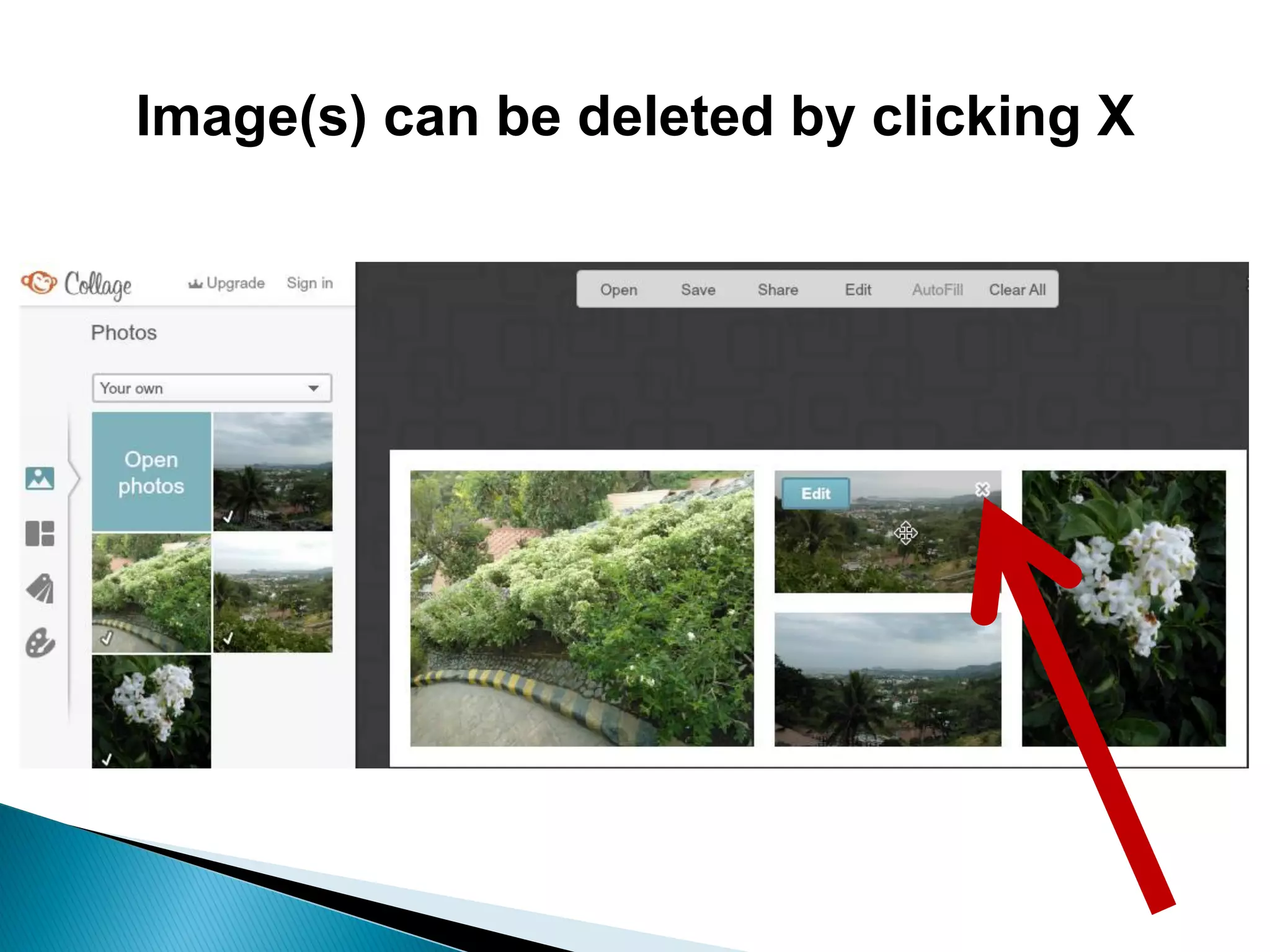 Image(s) can be deleted by clicking X
 