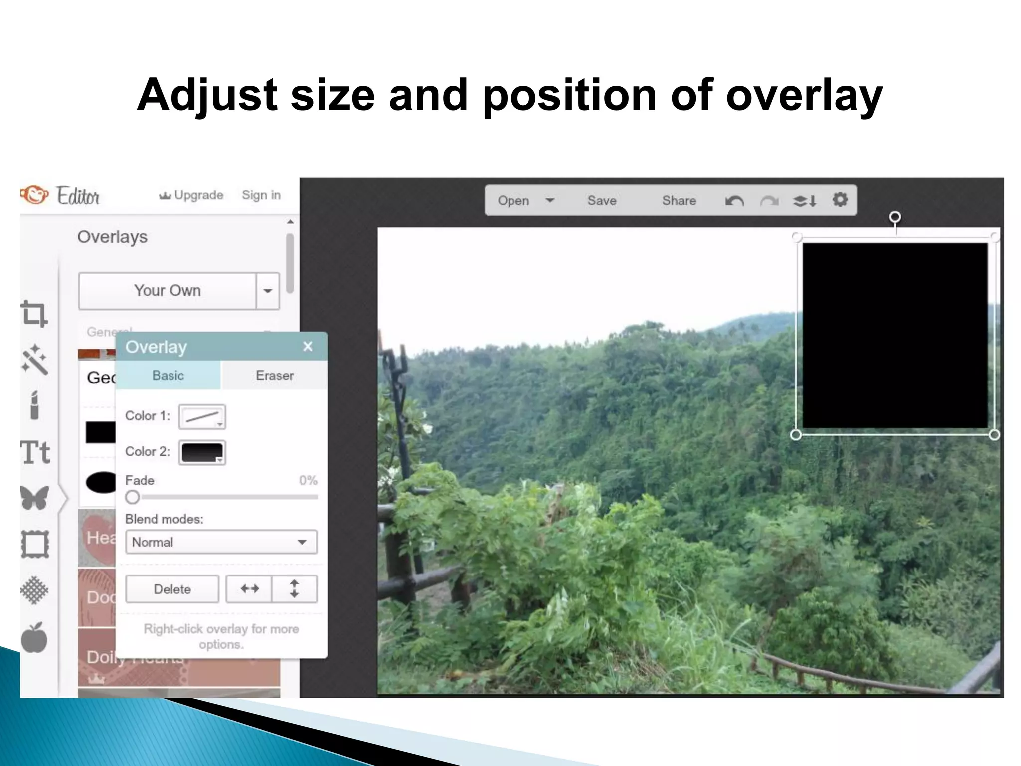 Adjust size and position of overlay
 