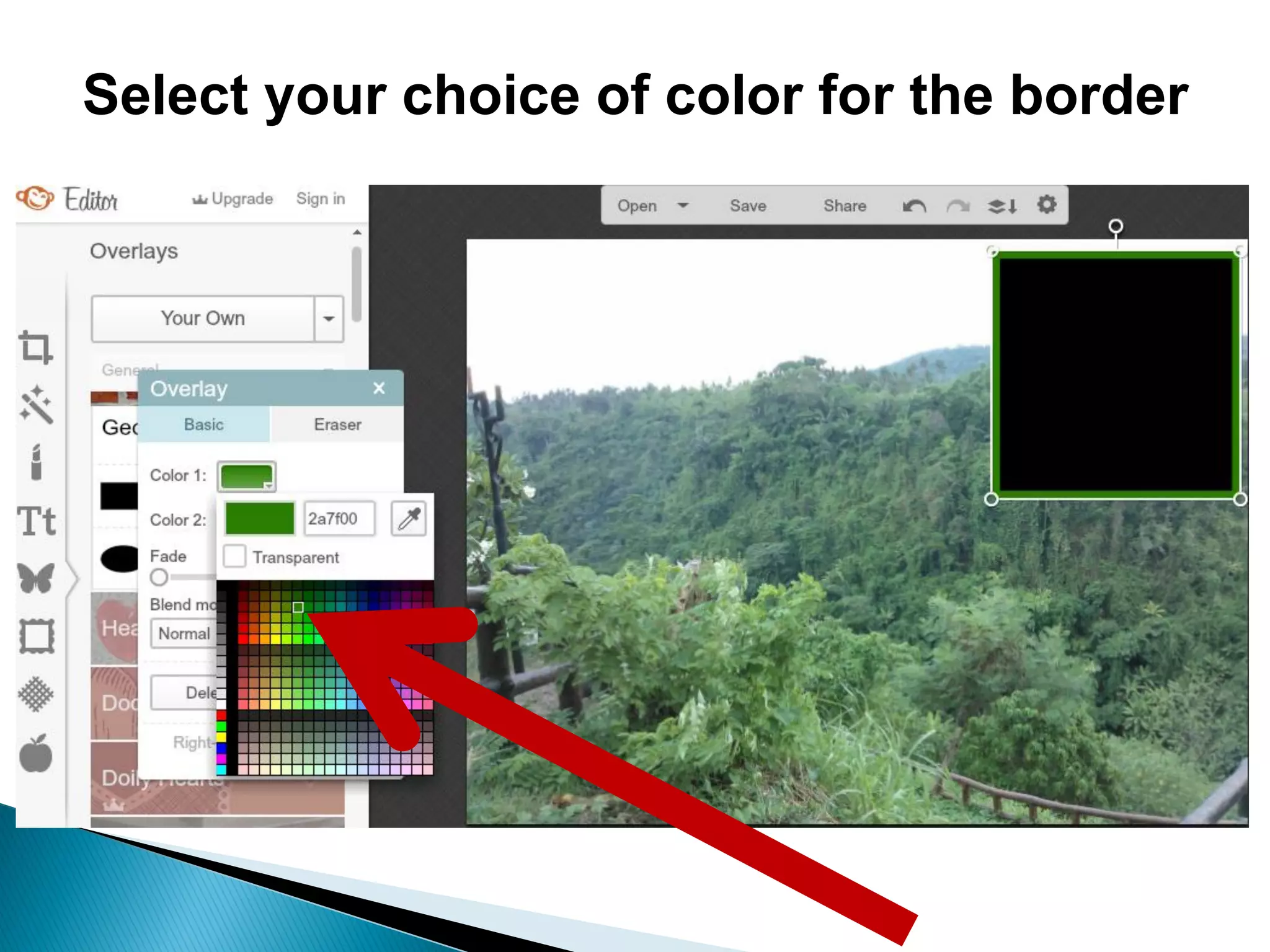 Select your choice of color for the border
 