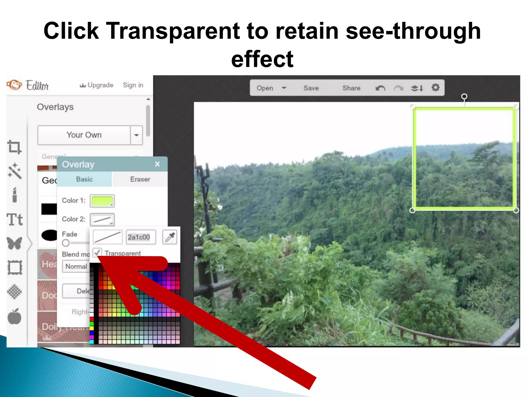 Click Transparent to retain see-through
effect
 
