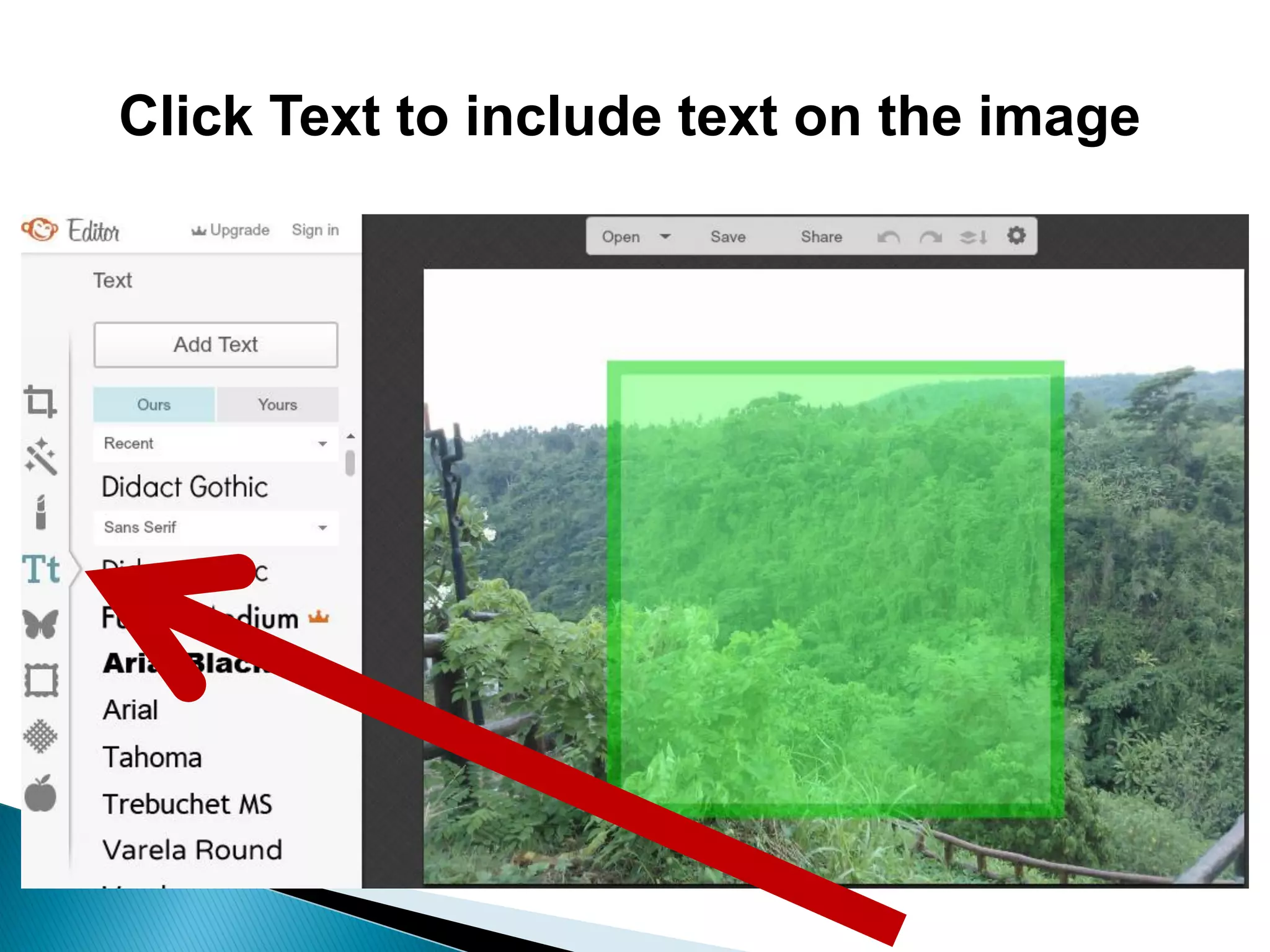 Click Text to include text on the image
 