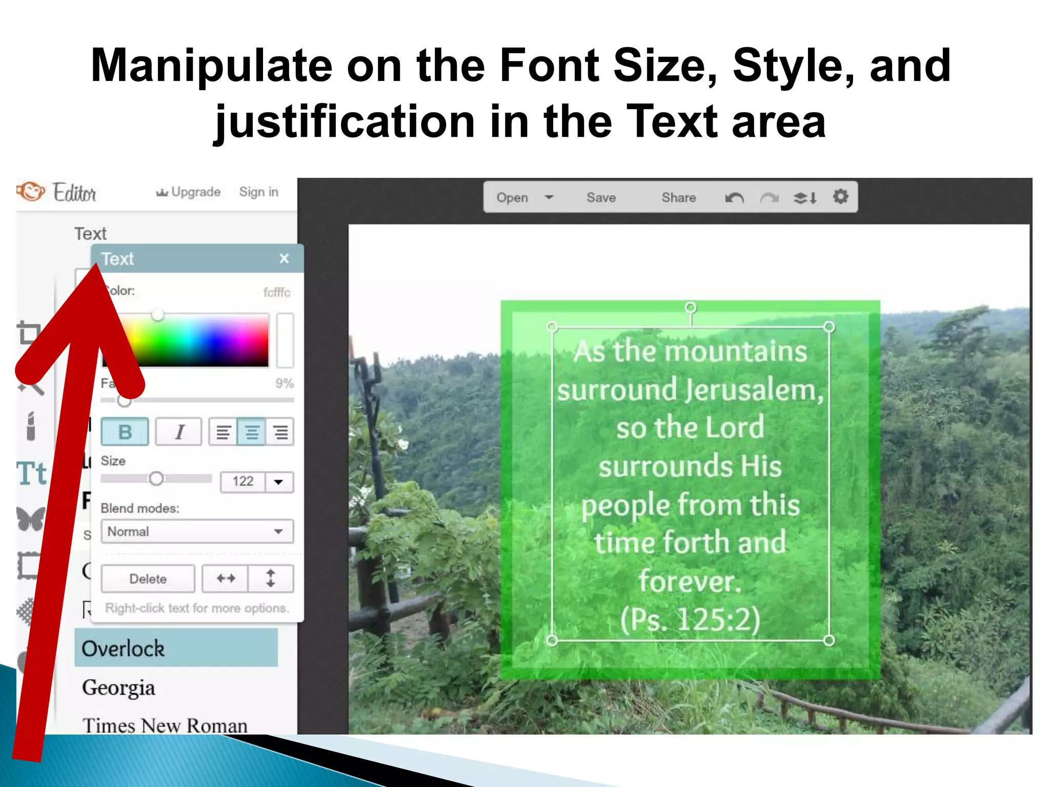 Manipulate on the Font Size, Style, and
justification in the Text area
 