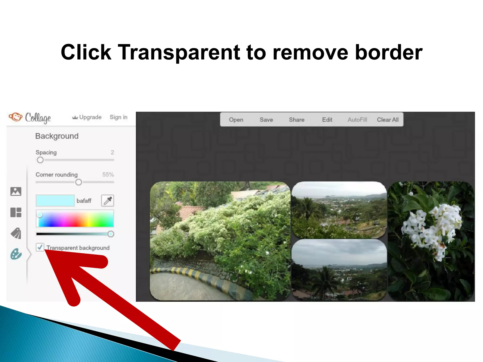 Click Transparent to remove border
 