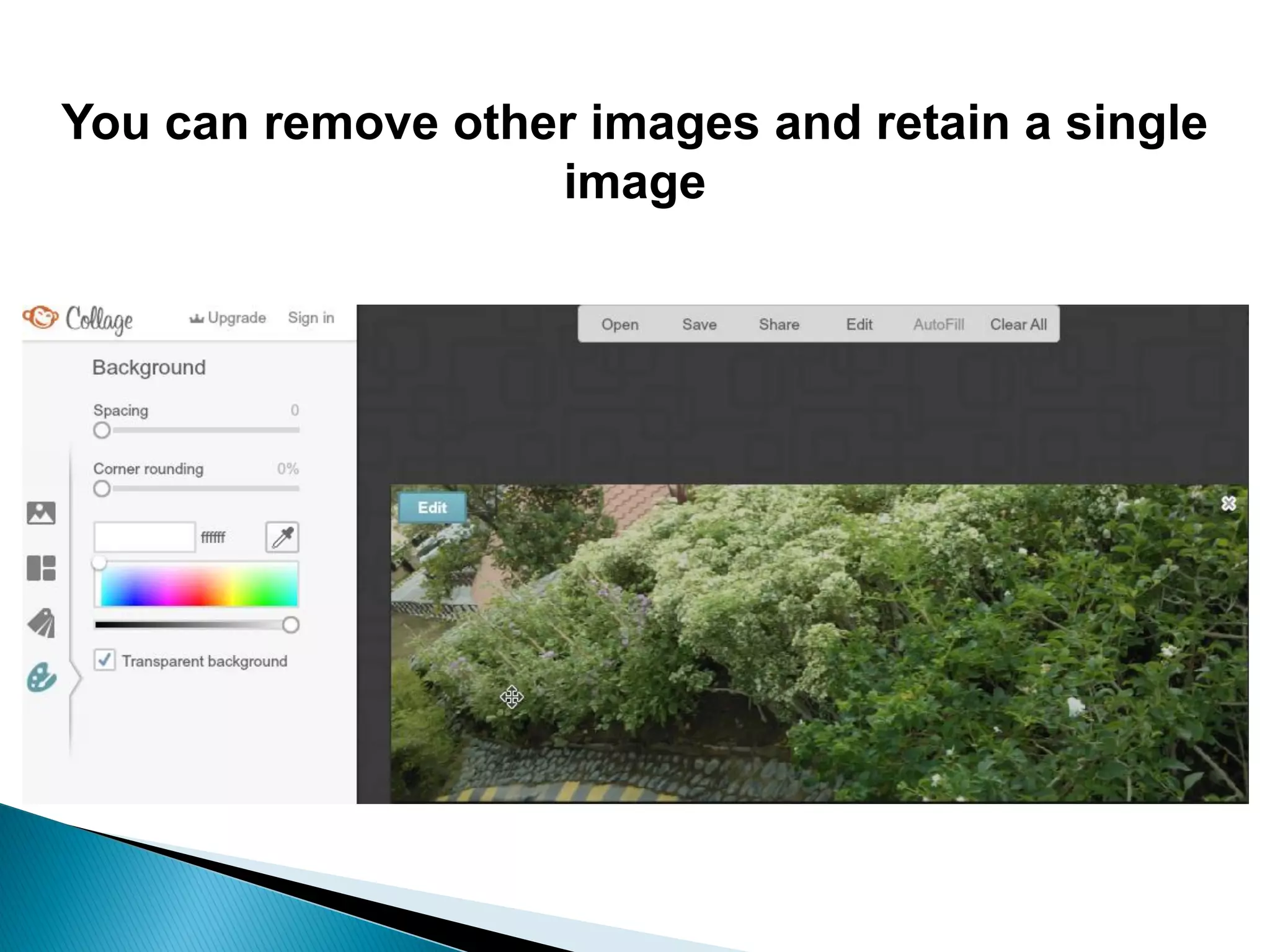 You can remove other images and retain a single
image
 