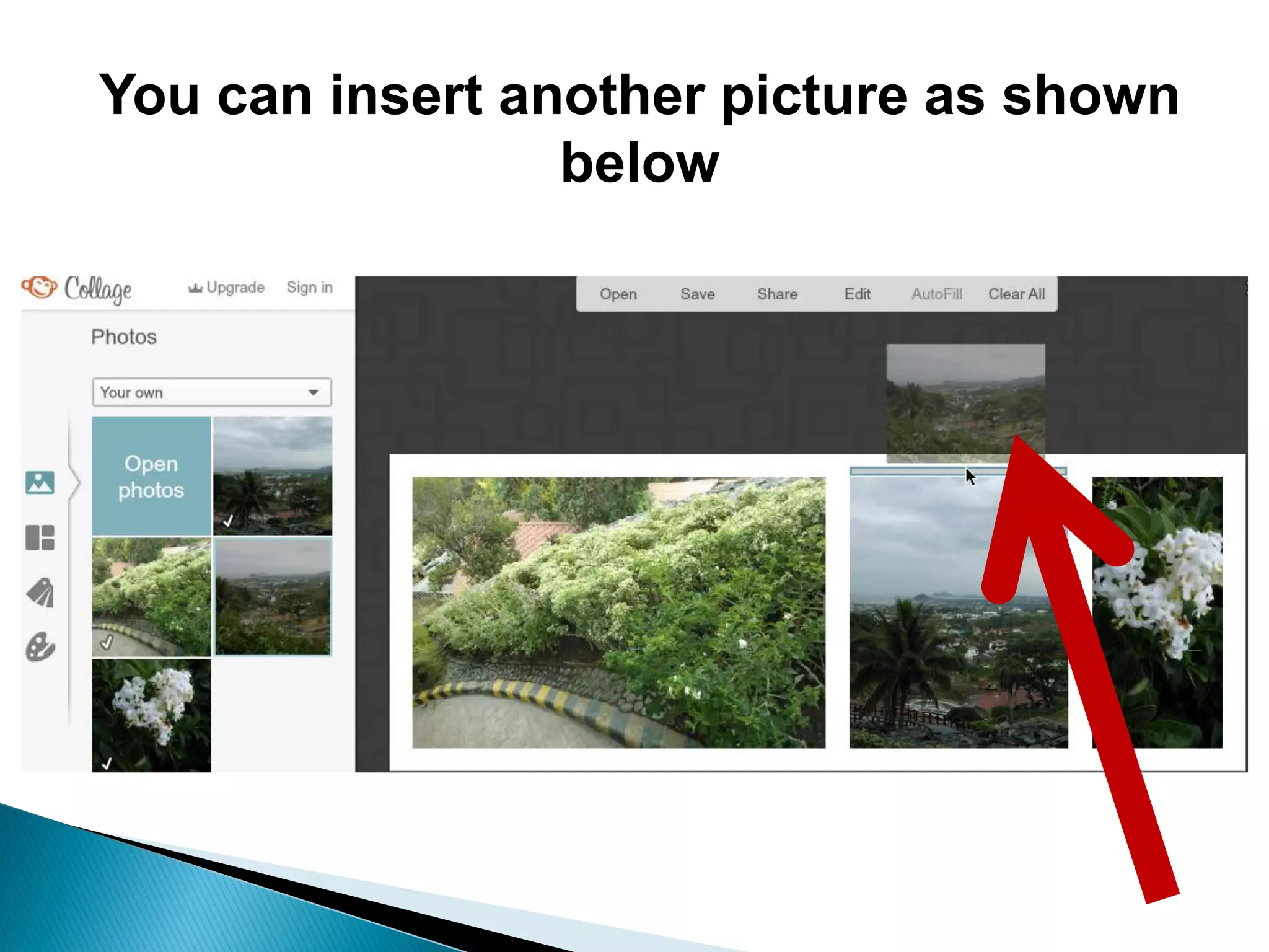 You can insert another picture as shown
below
 