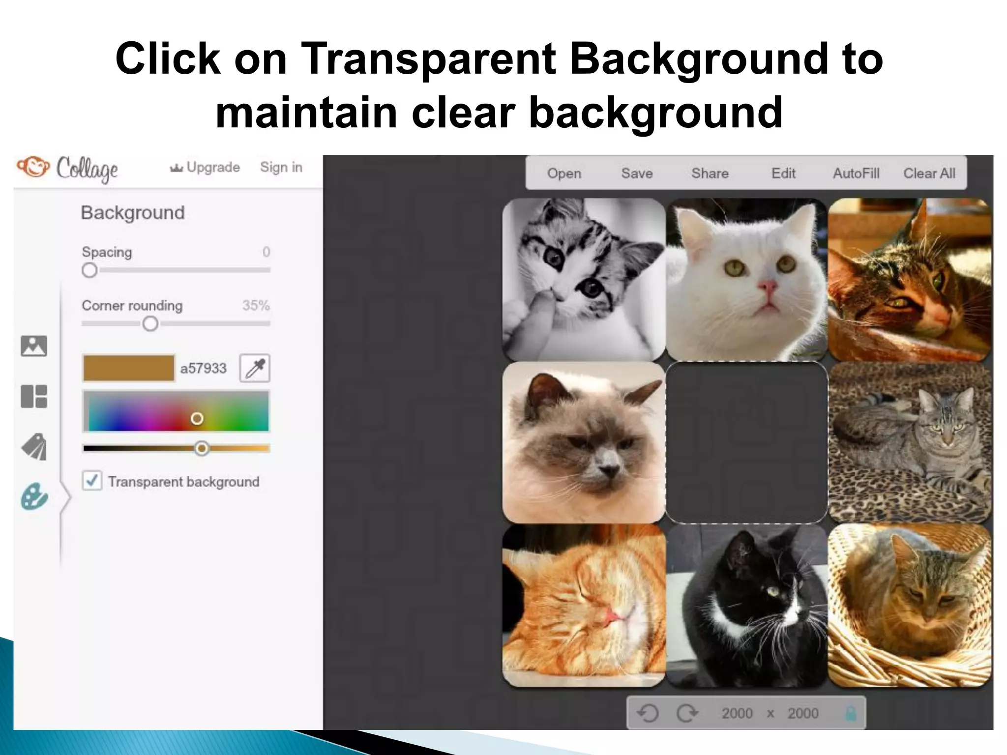 Click on Transparent Background to
maintain clear background
 