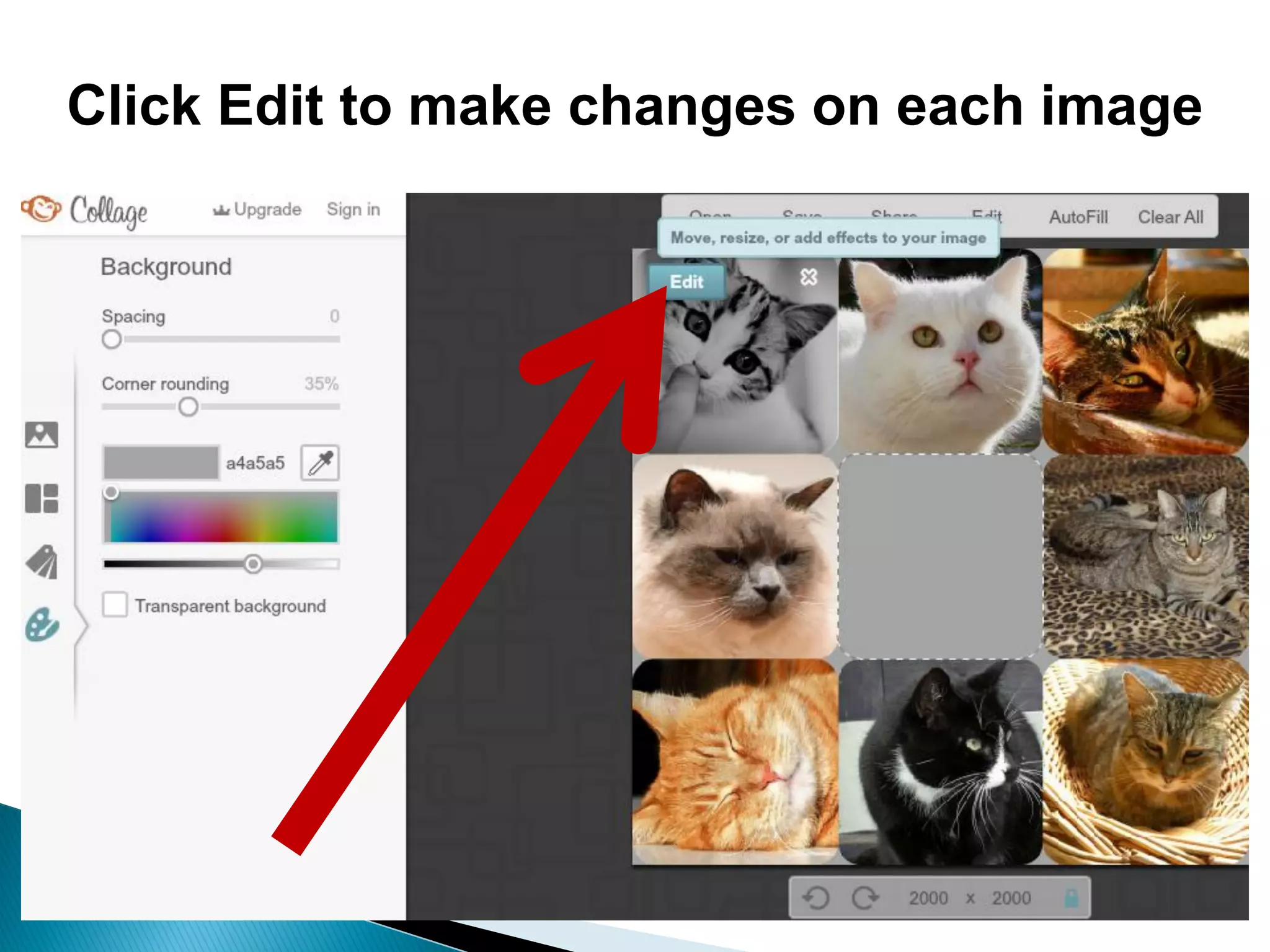 Click Edit to make changes on each image
 