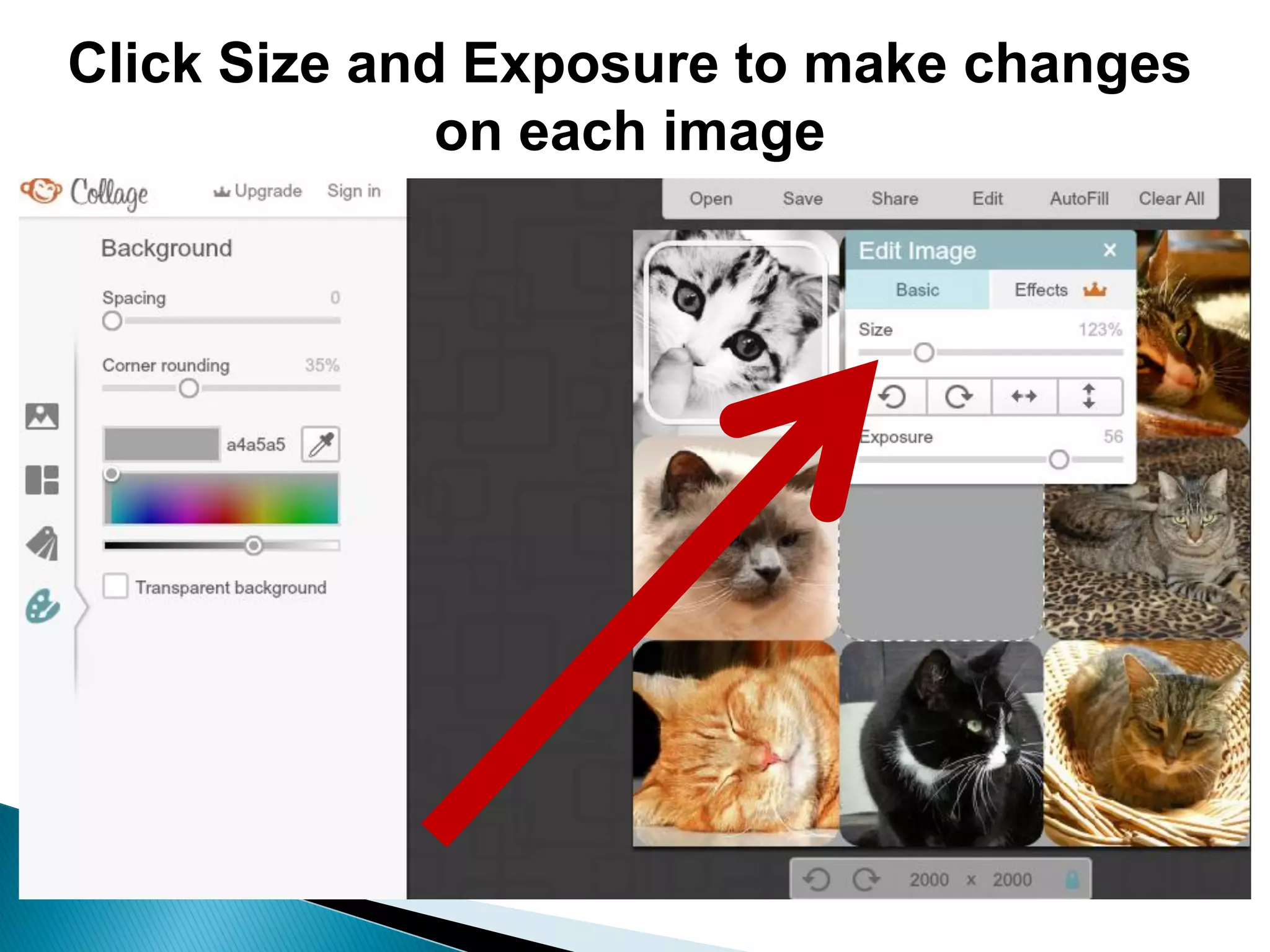 Click Size and Exposure to make changes
on each image
 