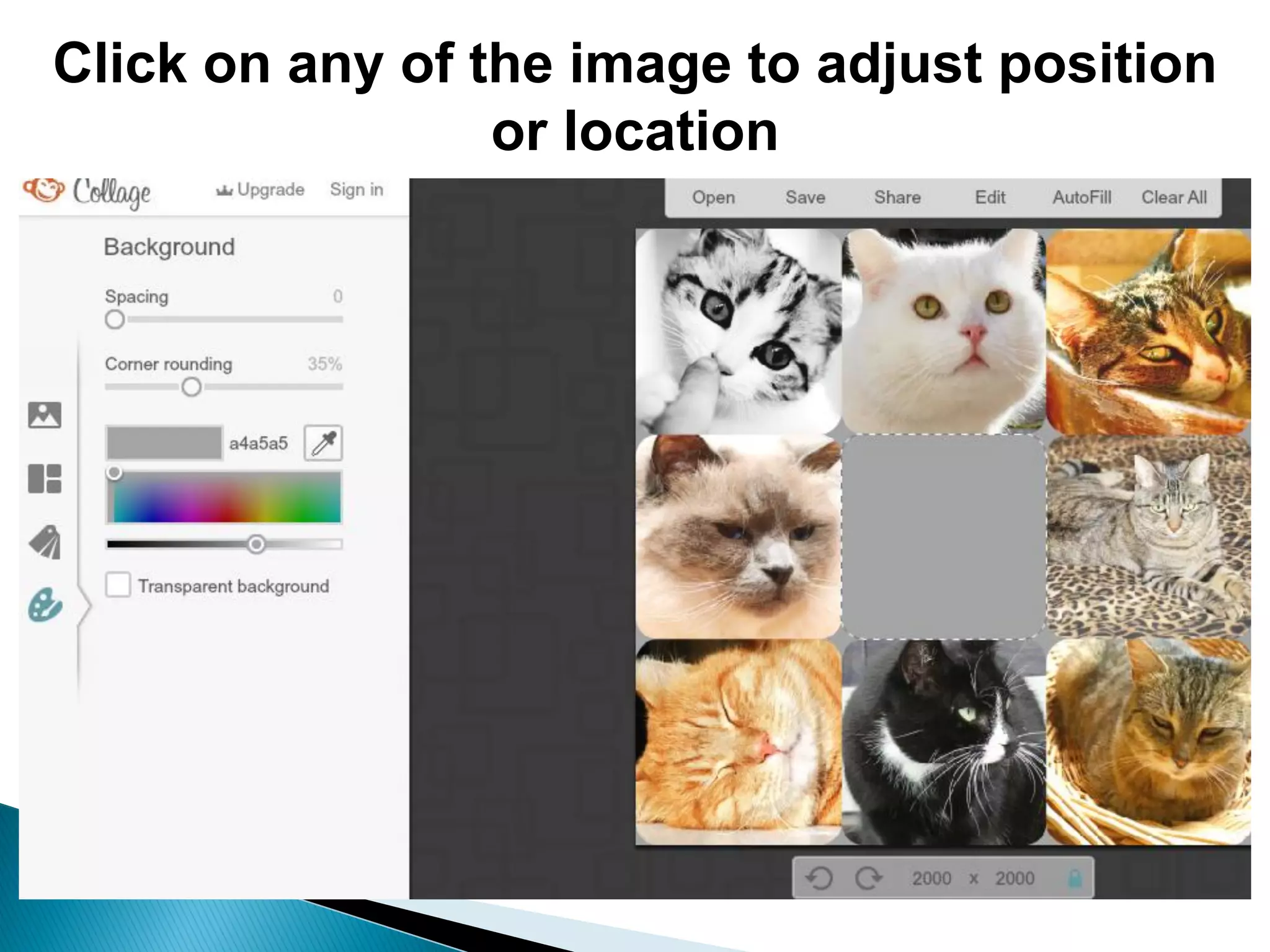 Click on any of the image to adjust position
or location
 