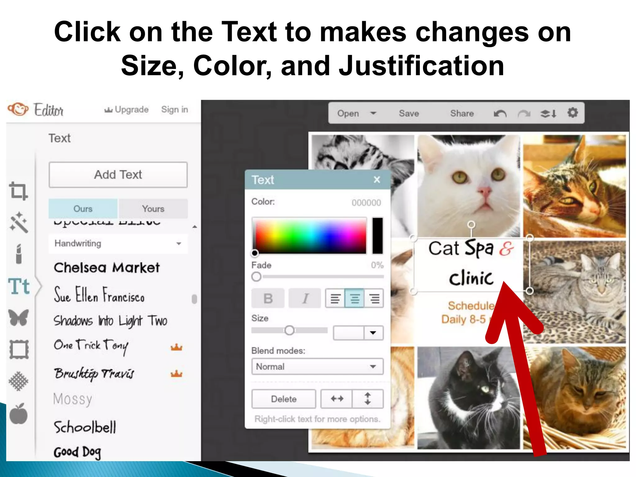 Click on the Text to makes changes on
Size, Color, and Justification
 