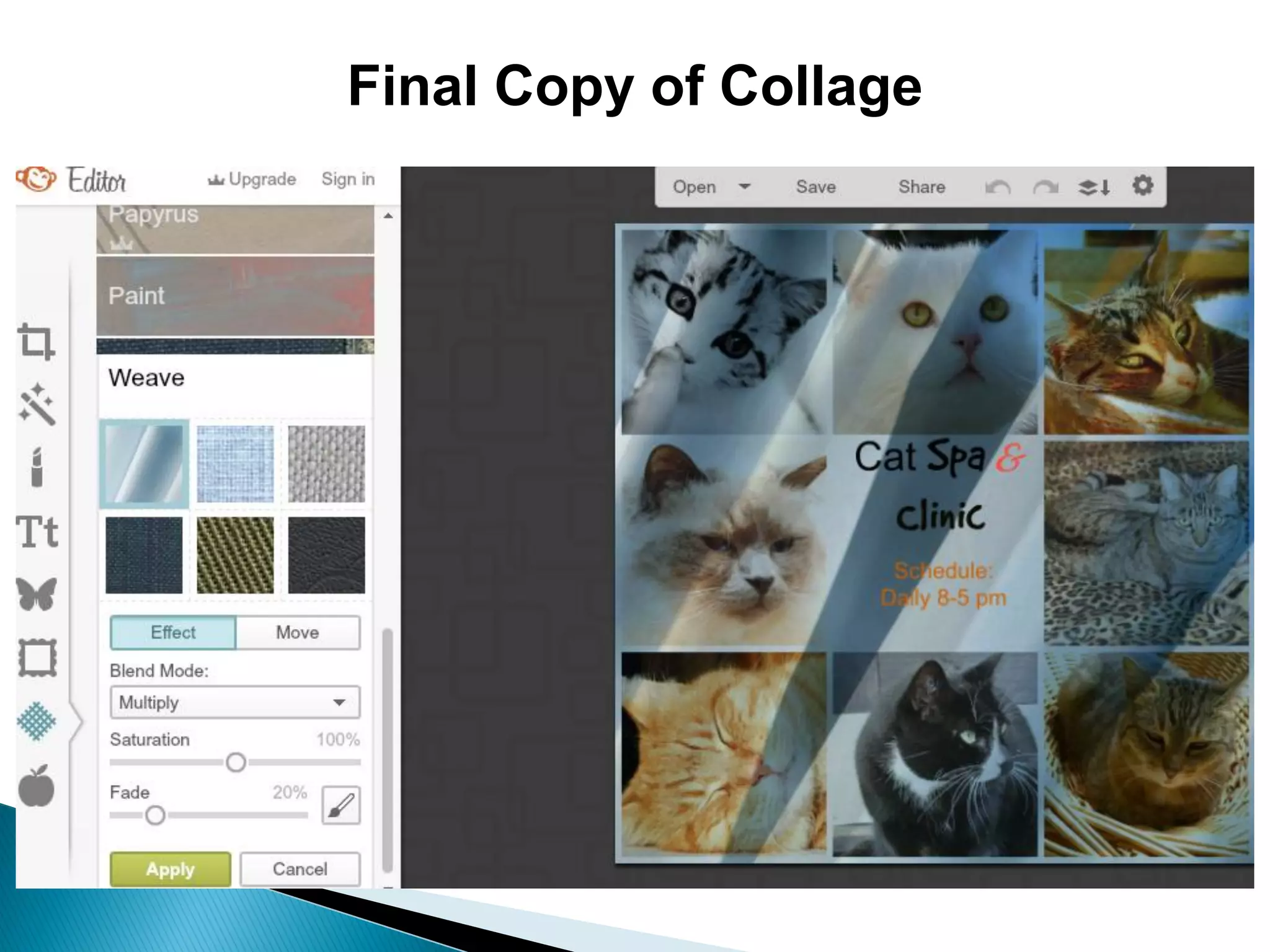 Final Copy of Collage
 