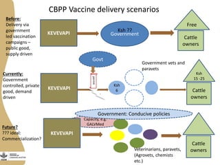 Delivery of the Contagious Bovine Pleuropneumonia Vaccine in Garissa, Northeastern Kenya