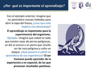 Con el ejemplo anterior, imagine que
no aprendiera nuevos métodos para
abrir la tapa del frasco, ¿cree que esto
implica una desventaja?
El aprendizaje es importante para la
supervivencia del organismo.
Ejemplo. Imagine que usted no sabe
que existen razas de perros peligrosas,
un día se acerca a un perro que resulta
ser de raza peligrosa y sufre un
ataque. ¿Qué pasaría si usted no
aprendiera de esa experiencia? El ser
humano puede aprender de la
experiencia y en especial, de las que
provocan resultados positivos.
¿Por qué es importante el aprendizaje?
 