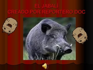 EL JABALÍEL JABALÍ
CREADO POR REPORTERO DOCCREADO POR REPORTERO DOC
 