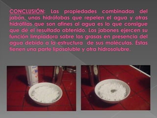 CONCLUSIÓN: Las propiedades combinadas del jabón, unas hidrófobas que repelen el agua y otras hidrófilas que son afines al agua es lo que consigue que dé el resultado obtenido. Los jabones ejercen su función limpiadora sobre las grasas en presencia del agua debido a la estructura  de sus moléculas. Éstas tienen una parte liposoluble y otra hidrosolubre.