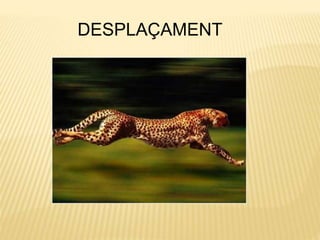DESPLAÇAMENT
 