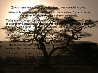Quiero terminar con un pequeño cuento que escuché una vez:
Había un bosque en el que vivían muchos animalitos. De repente se
desató un incendio y todos salieron corriendo.
Todos menos un gorrioncito que fue al río, mojo las alitas, voló sobre
el bosque en llamas y dejó caer una gota de agua, tratando de apagar
el fuego. Volvió al río, mojó las alitas, voló sobre el bosque y dejó caer
algunas gotas. Un elefante que pasaba le gritó:
¡No seas tonto! ¡Huye como todos! ¿No ves que te vas a achicharrar?
El gorrioncito se volteó y le dijo:
Este bosque me lo ha dado todo: mi familia, mi felicidad, y le tengo
tanta lealtad que no me importa morir, pero voy a tratar de salvarlo.
Fue al río otra vez, mojó sus alitas y revoloteó sobre el bosque,
dejando caer una o dos gotas de agua.
Los dioses se compadecieron de él y dejaron caer una gran tormenta
que apagó el incendio. El bosque reverdeció y todos los animalitos
regresaron y volvieron a ser felices, más que antes.

 