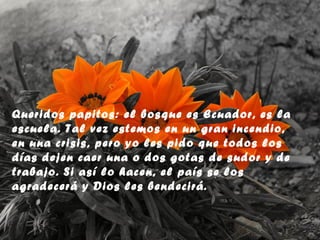 Queridos papitos: el bosque es Ecuador, es la
escuela. Tal vez estemos en un gran incendio,
en una crisis, pero yo les pido que todos los
días dejen caer una o dos gotas de sudor y de
trabajo. Si así lo hacen, el país se los
agradecerá y Dios les bendecirá.

 