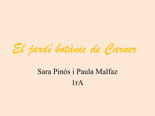 El jardí botànic de Carner
Sara Pinós i Paula Malfaz
1rA

 