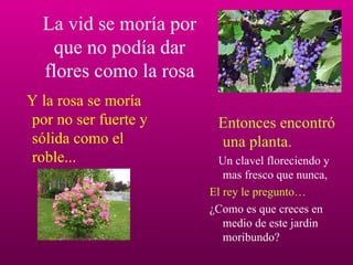 La vid se moría por que no podía dar flores como la rosa Y la rosa se moría por no ser fuerte y sólida como el roble... Entonces encontró una planta. Un clavel floreciendo y mas fresco que nunca, El rey le pregunto… ¿Como es que creces en medio de este jardin moribundo? 