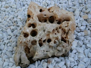 El Jardin De La Mente Manual