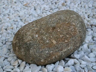 El Jardin De La Mente Manual