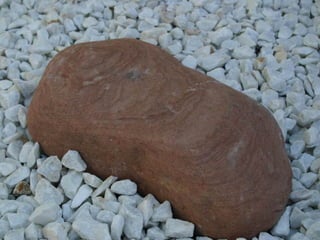 El Jardin De La Mente Manual