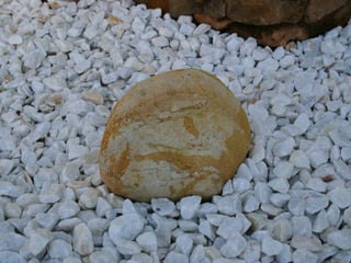 El Jardin De La Mente Manual