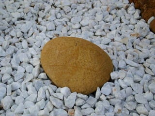 El Jardin De La Mente Manual