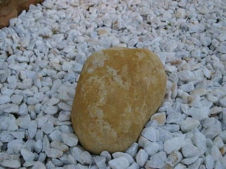 El Jardin De La Mente Manual