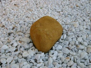 El Jardin De La Mente Manual