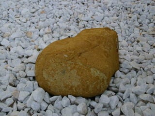 El Jardin De La Mente Manual