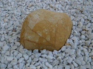 El Jardin De La Mente Manual