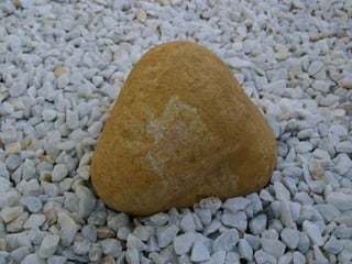 El Jardin De La Mente Manual